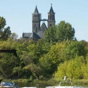 Blick auf den Magdeburger Dom zwischen grünen Bäumen am Wasserrand.