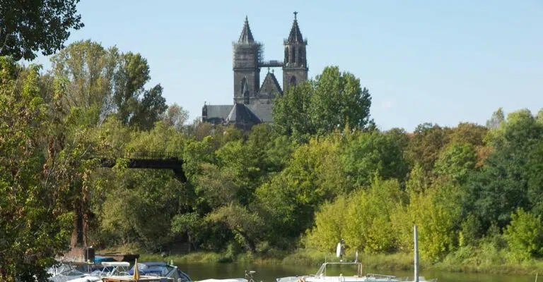 Blick auf den Magdeburger Dom zwischen grünen Bäumen am Wasserrand.